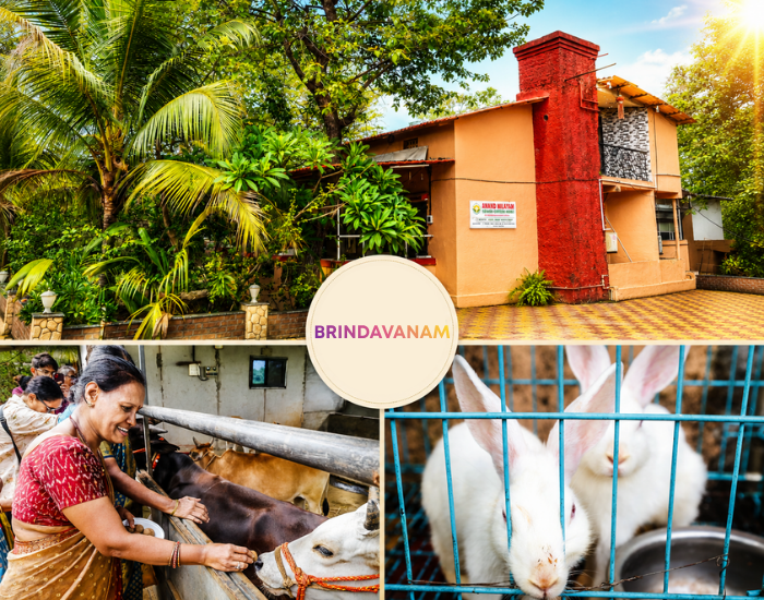 brindavanam