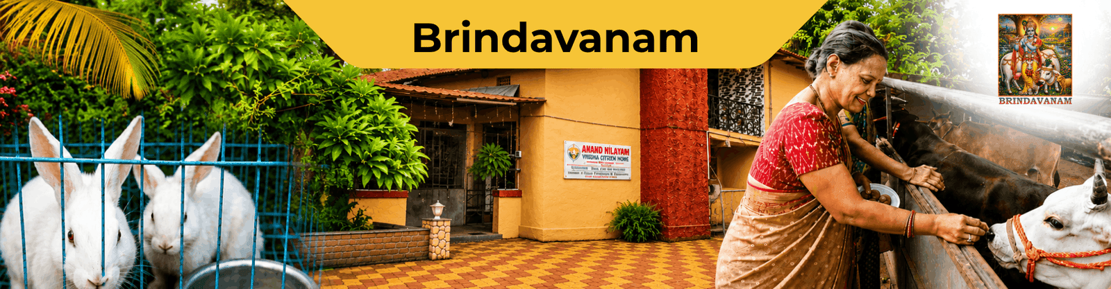 Brindavanam pilot project (1)